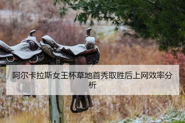 a-er-ka-la-si-nv-wang-bei-cao-di-shou-xiu-qu-sheng-hou-shang-wang-xiao-lv-fen-xi-2-810.jpg
