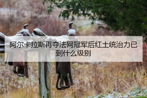a-er-ka-la-si-zai-duo-fa-wang-guan-jun-hou-hong-tu-tong-zhi-li-yi-dao-shen-me-ji-bie-2-350.jpg
