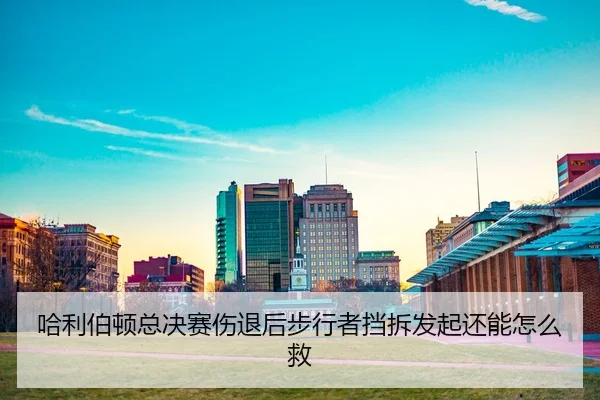 ha-li-bo-dun-zong-jue-sai-shang-tui-hou-bu-xing-zhe-dang-chai-fa-qi-hai-neng-zen-me-jiu-2-897.jpg
