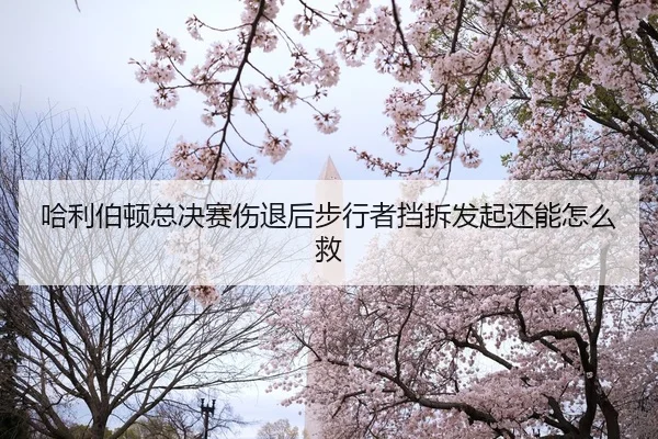 哈利伯顿总决赛伤退后步行者挡拆发起还能怎么救