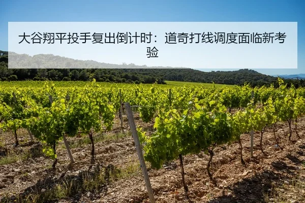 大谷翔平投手复出倒计时：道奇打线调度面临新考验